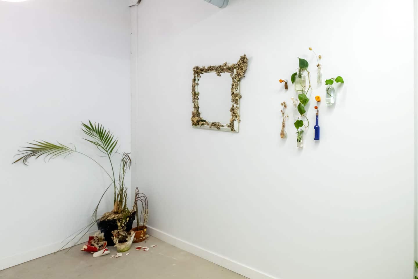 Peculiar Movements/Green Junctions at NAMARA projects